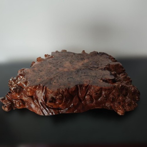 Japanese burl wood bonsai - japanese,