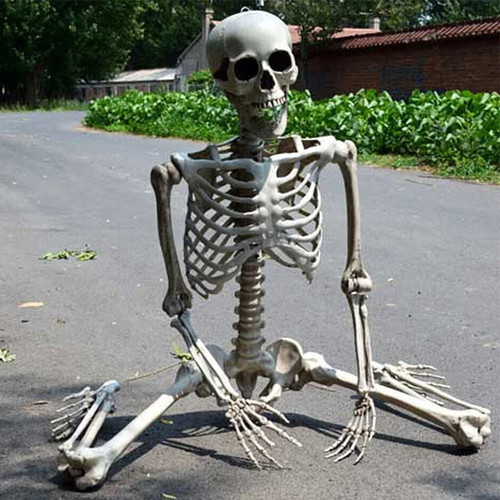 Life size human - human, skeleton