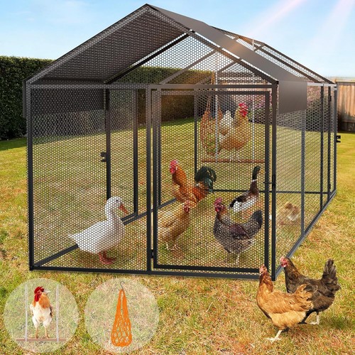 Metal chicken coop run - chicken,