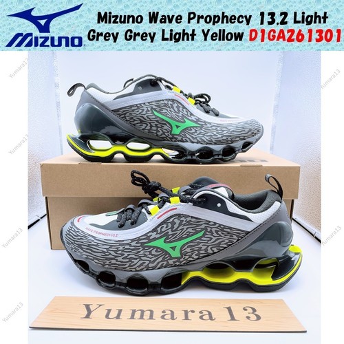 Mizuno wave prophecy 2 - wave, 13.2