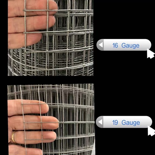 Welded chicken wire mesh - welded,