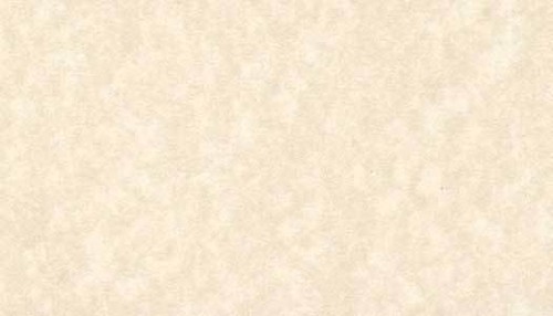 Parchment paper - a3,