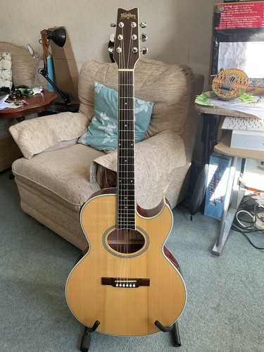Washburn ea20 festival series - washburn,