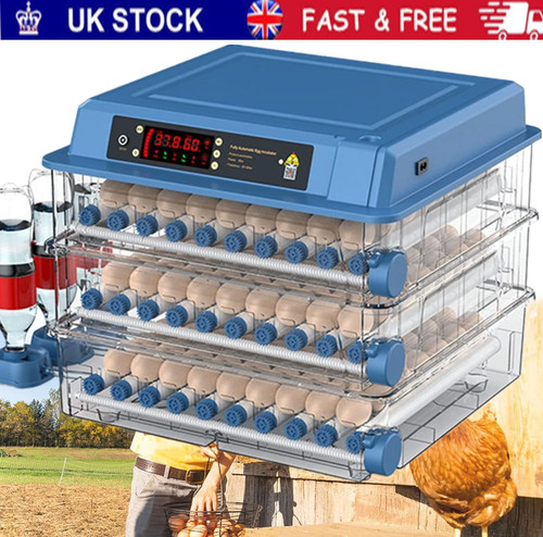 Automatic digital eggs 192 - digital,