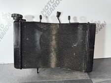 Triumph Street Triple 675 R