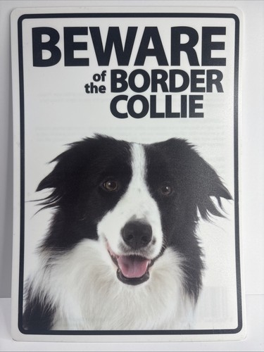 Dog sign border collie - sign,