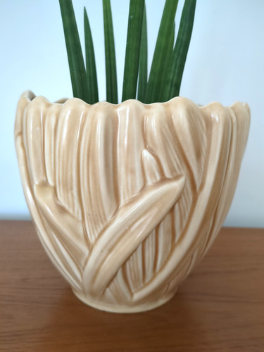 Vintage sylvac hyacinth plant - hyacinth,
