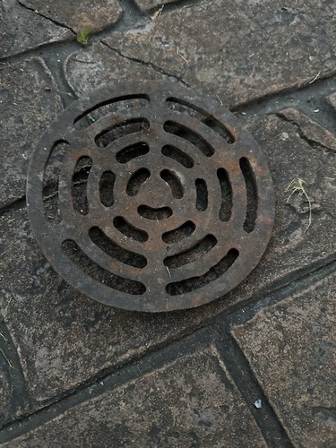 Gully grid drain - grid,