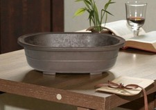 Oval Brown Mica Bonsai Pot OD