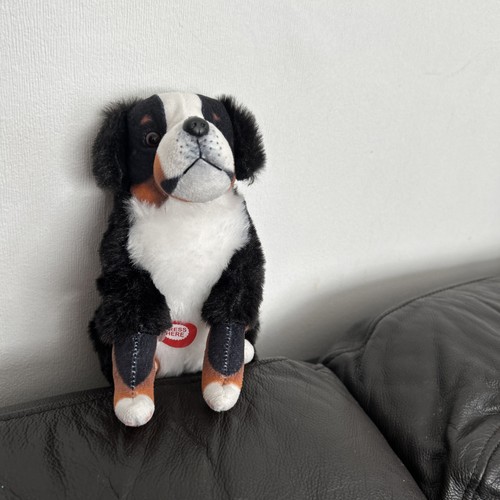 Lovely bernard plush - st, dog