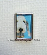 Bedlington terrier dog art