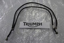 Triumph Sprint RS 955i brake