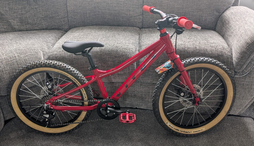 Vitus kids mountain bike - 20+,