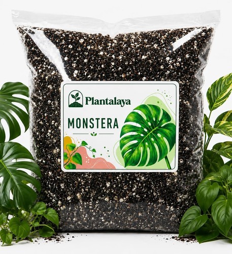 Monstera potting mix premium - monstera,