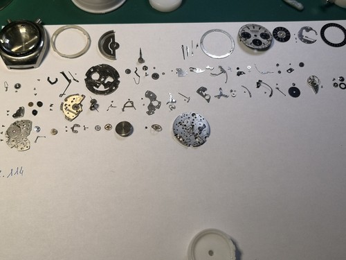 Citizen bullhead 8110 overhaul - 8110,