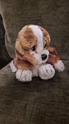 Sad sam junior dog - sad,