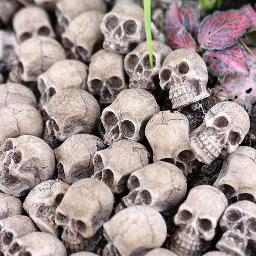 20pcs mini resin skull - 20pcs,