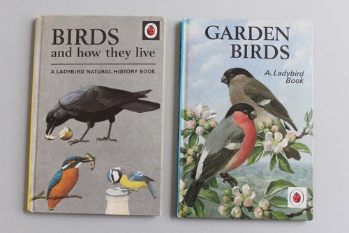 Vintage ladybird books - books, x2