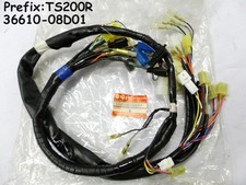 Suzuki TS200 TS200R