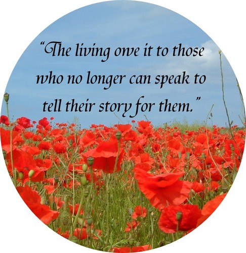 Poppy badge remembrance day - badge,