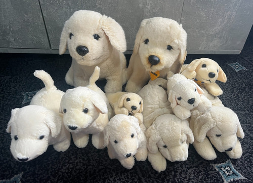 Bundle 10x andrex labrador - bundle,