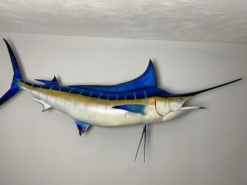 Atlantic blue marlin - blue,