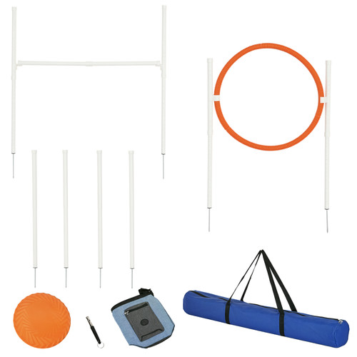 Dog agility equipment - dog,