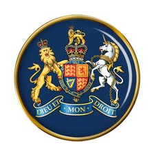 RAF Warrant Officer Pin Badge