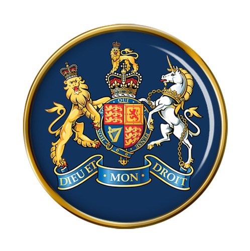 Raf warrant officer - officer, badge