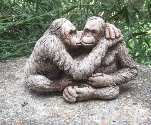 Orangutan couple garden - orangutan,