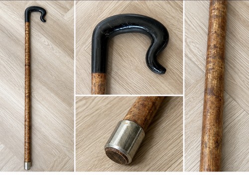 Black ramshorn hazel - black,