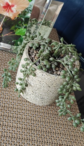 Trailing string pearls faux - trailing,