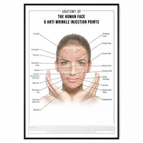 Anti wrinkle face - wrinkle, anatomy