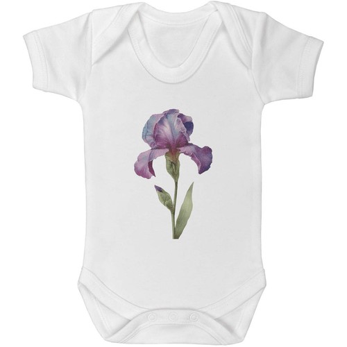 Purple iris flower - flower, '