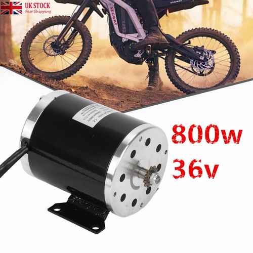 Electric scooter motor 800w - motor,