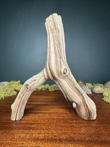 Manzanita driftwood - manzanita,