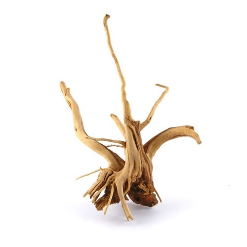 Aquarium driftwood fish - fish, tank