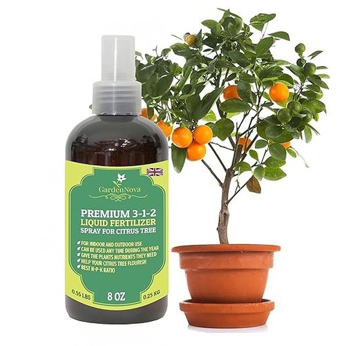 Gardennova citrus tree - tree, liquid