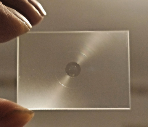 Focusing screen for nikon - focusing,