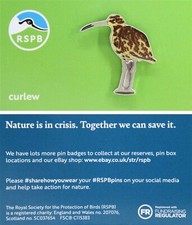 RSPB Pin Badge Curlew NIIC