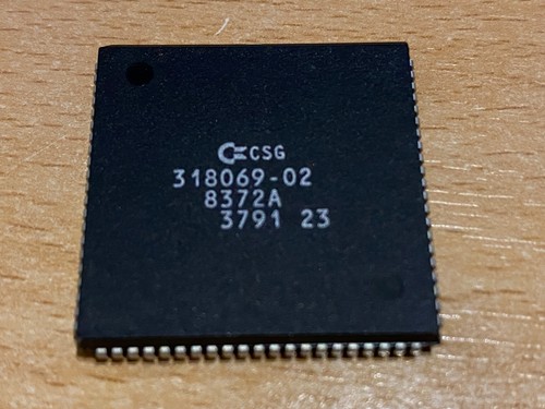 Fat agnus csg - fat, chip