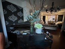 Allison grand piano with very rare butterfly lids