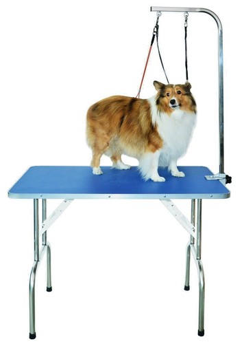 Professional grooming table