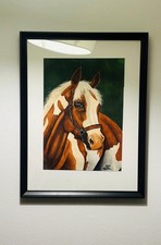 Framed Horse Water Colour