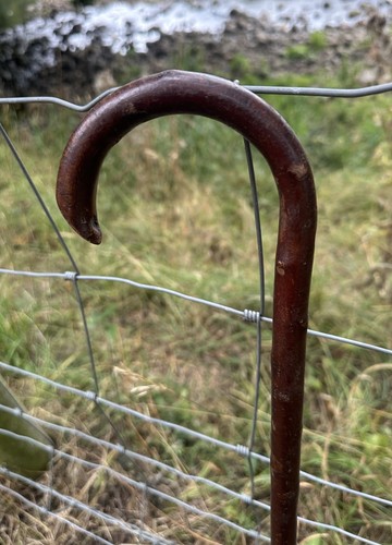 Strong little walking stick - strong,