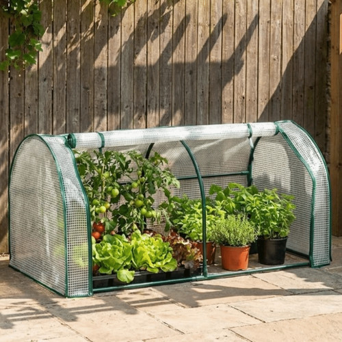Mini plant greenhouse plastic - greenhouse,