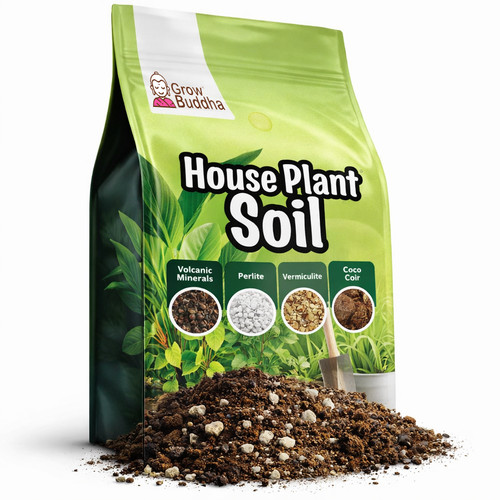 Houseplant potting soil - houseplant,