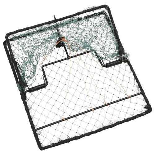 Bird trap humane live hunting - bird,