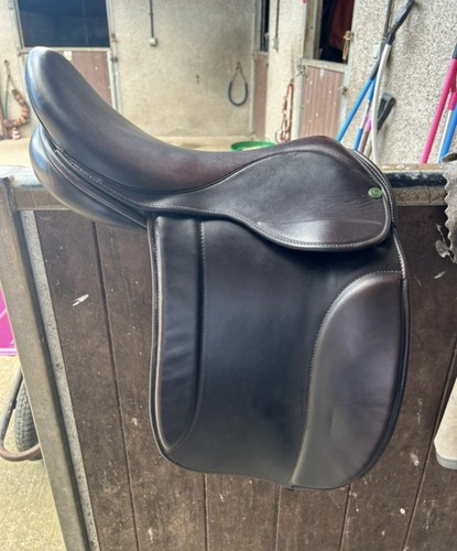 Ideal working hunter - working, show