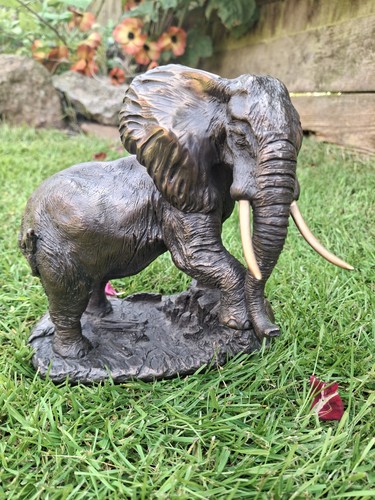 Heredities bull elephant - heredities,,